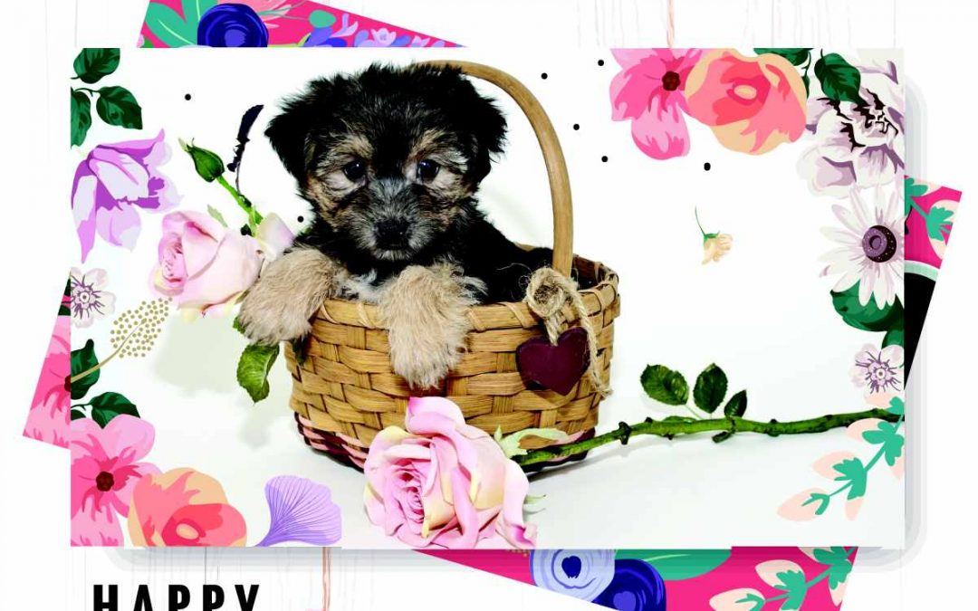 Mothers Day Love: Happy Mother’s Day