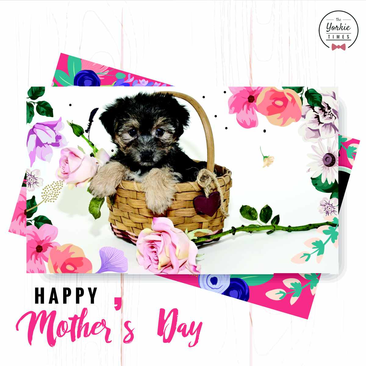 Yorkie in a basket - Happy Mother's Day