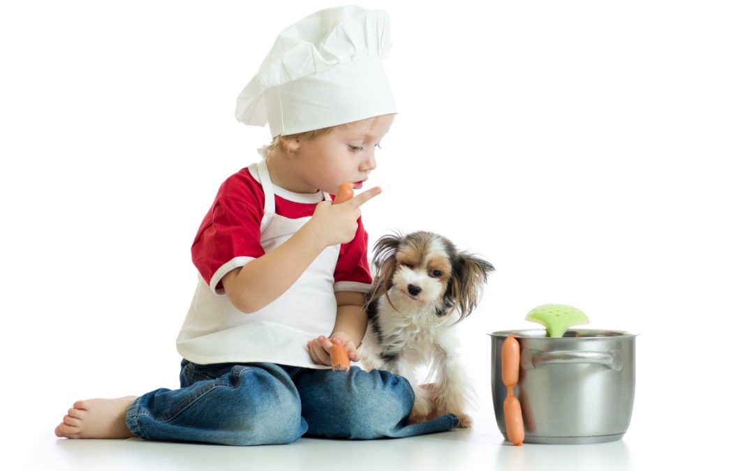 Keep These Holiday Foods Away from Your Yorkie