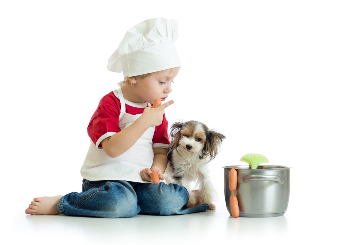 The Yorkie Times Blog - Holiday Food