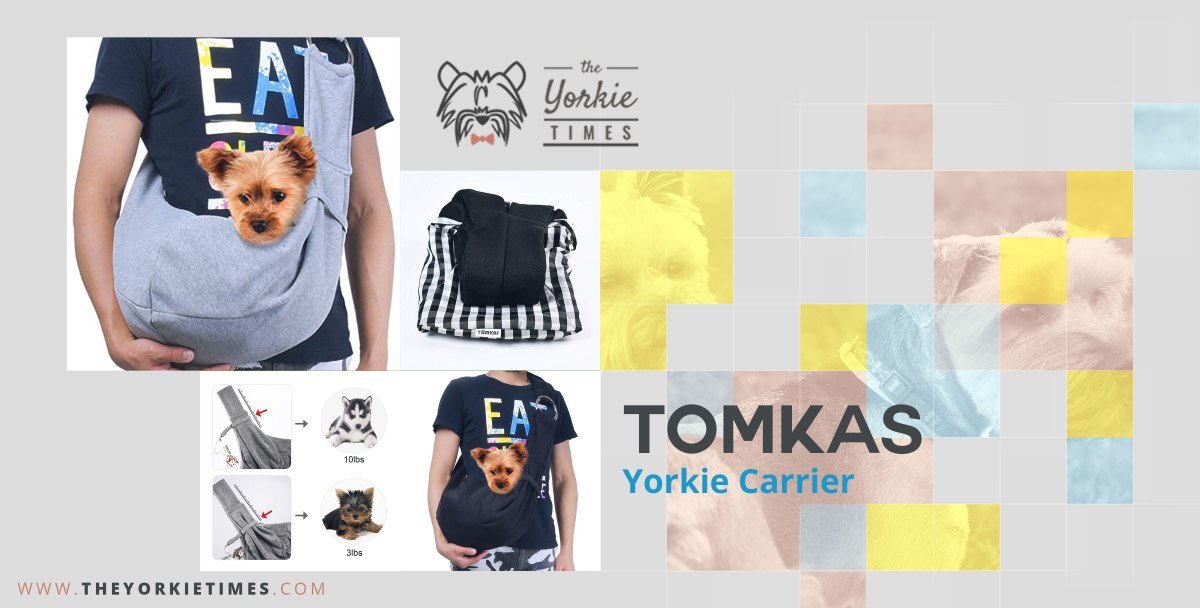 The Yorkie Times Blog