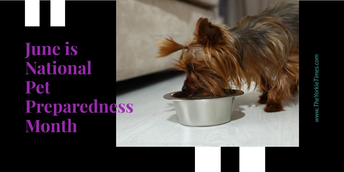pet preparedness month