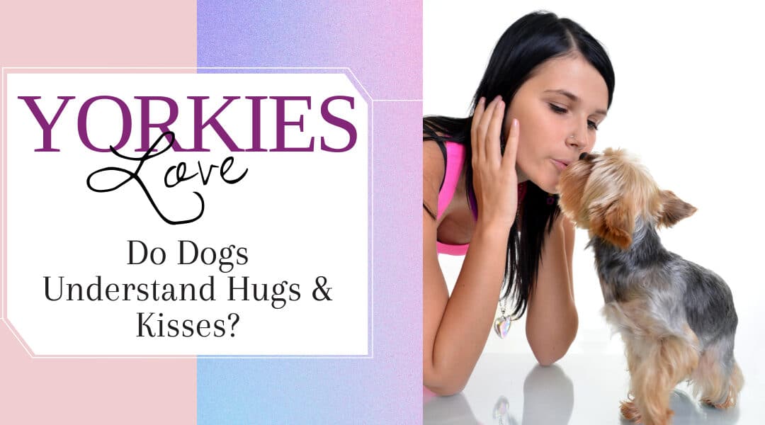 Do Dogs Understand Hugs And Kisses?