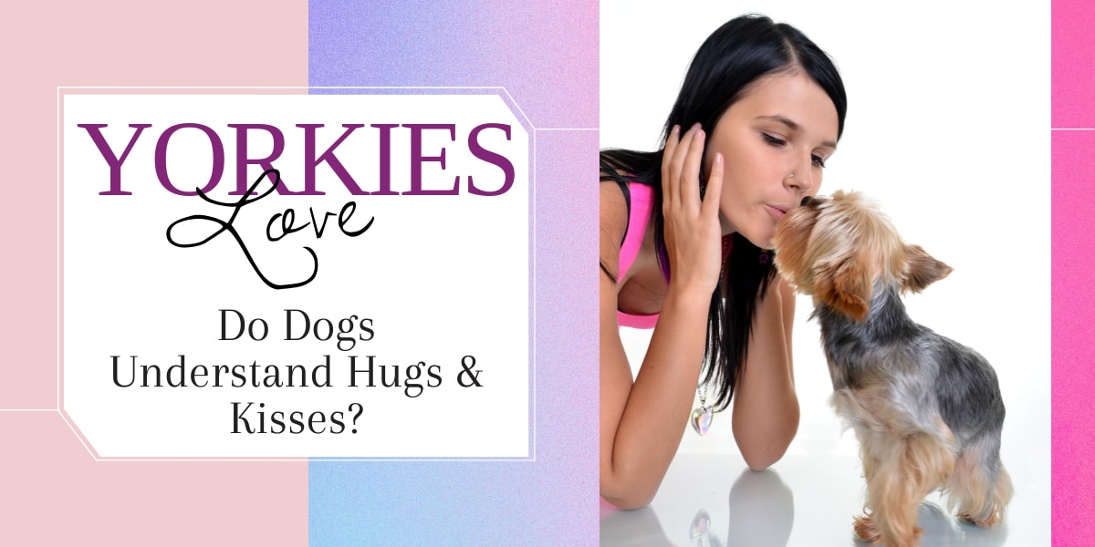 Do Dogs Understand Kisses