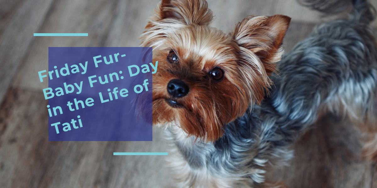 day in the life in tati