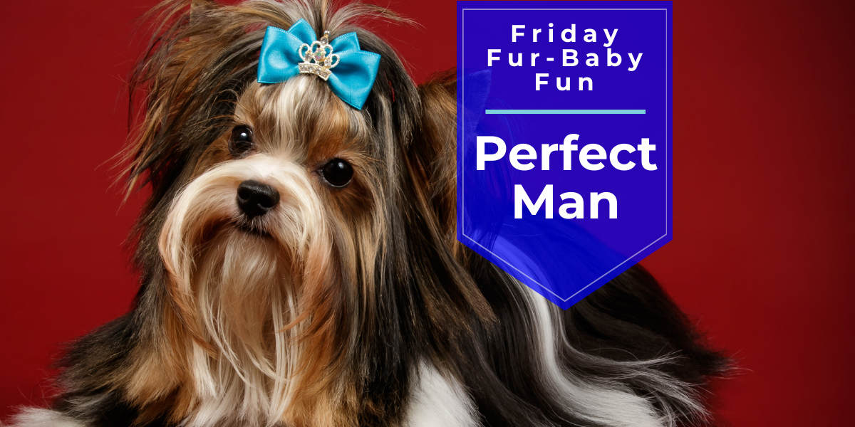 perfect man