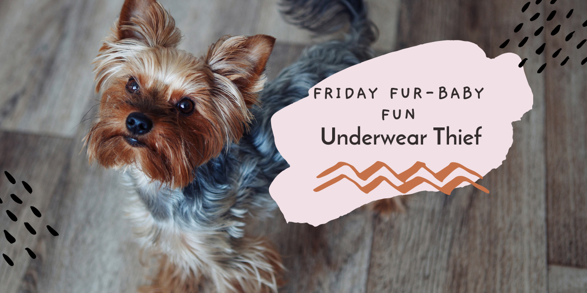 underwear thief