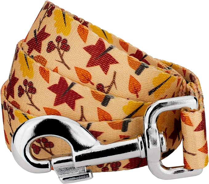 Country Brook Design - Fall Foliage Dog Leash Country Brook Design - Fall Foliage Dog Leash