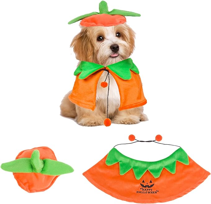 Dog Halloween Pumpkin Cloak Hat Set Dog Halloween Pumpkin Cloak Hat Set