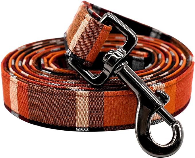 Elegant little tail Holiday Dog Leashes Elegant little tail Holiday Dog Leashes