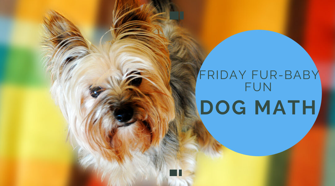 dog math