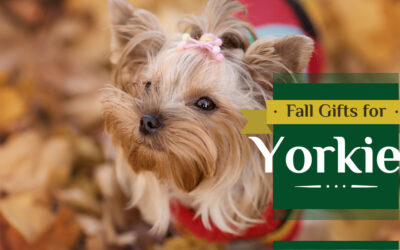 Fall Gifts For Yorkies