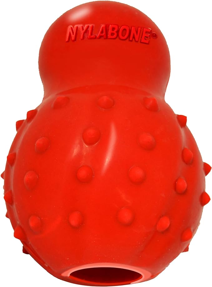 Nylabone Chew & Treat Toy for Dogs