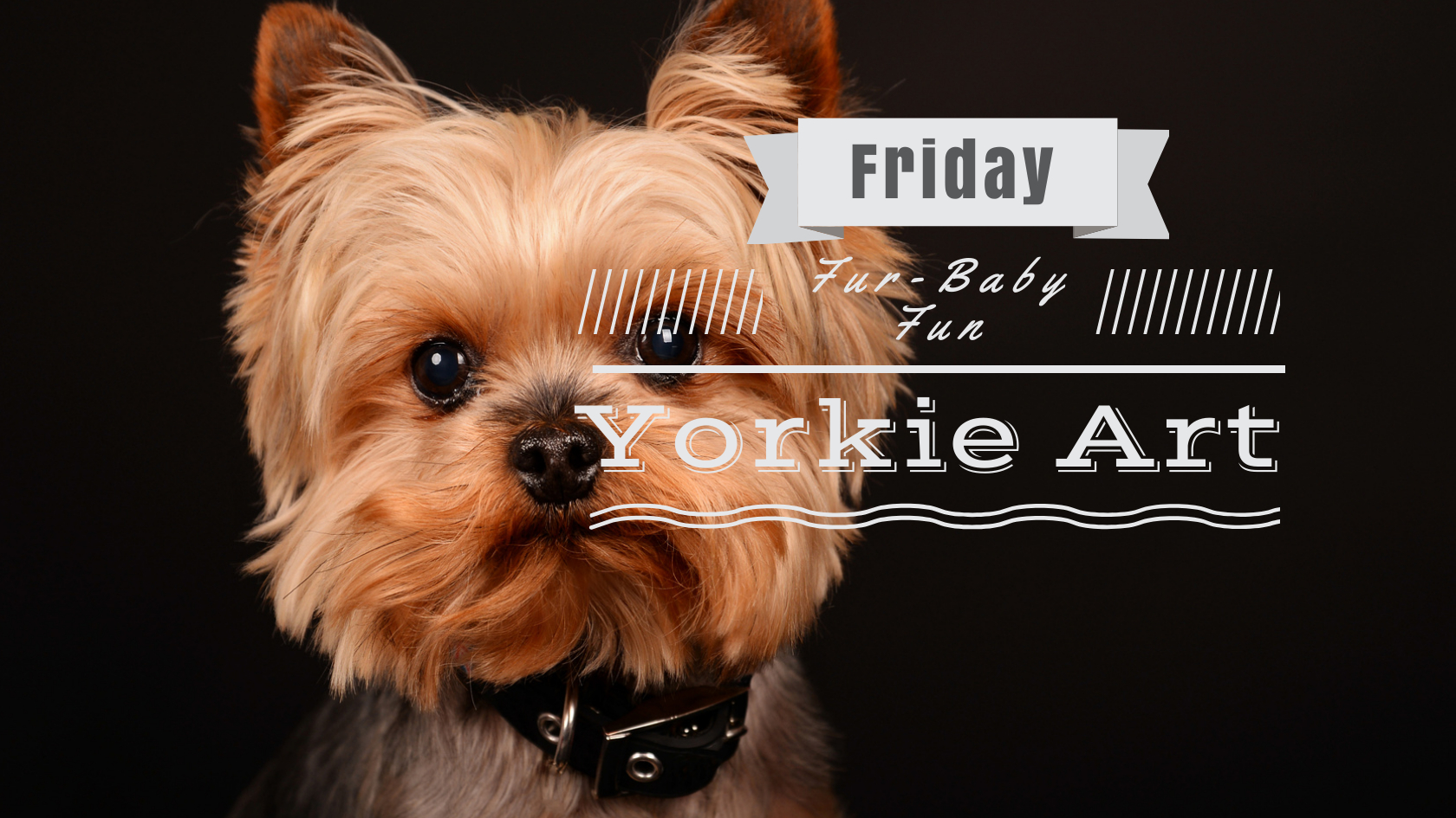 Yorkie art