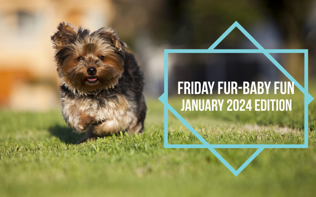 Friday Fur-Baby Fun: January 2024 Edition